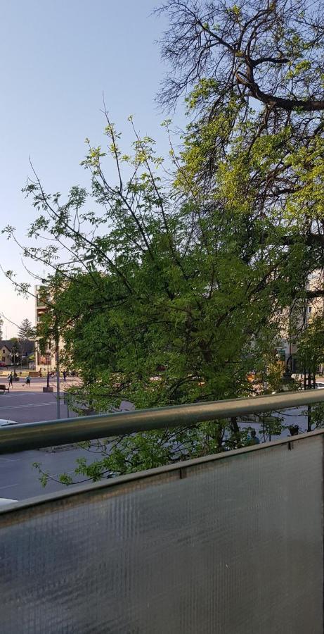 Ferienwohnung Citys Apatin Exterior foto